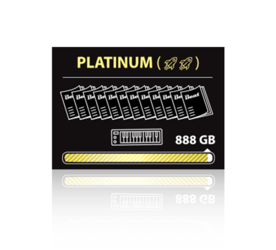 magazine platinum 12 month subscription