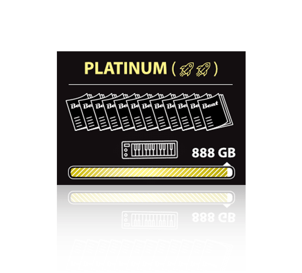 magazine platinum 12 month subscription