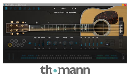 ample guitar m iii