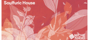 soulfuric house wav pack
