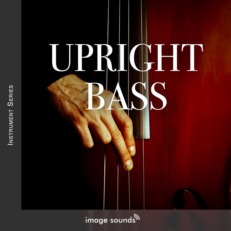 upright bass 1