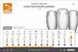 handy drums: latin percussion & drums