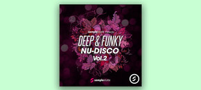 deep & funky nu-disco 2
