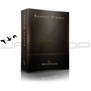 soaringstrings