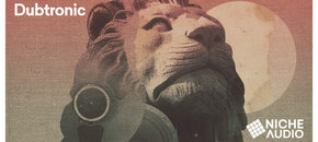 dubtronic wav pack