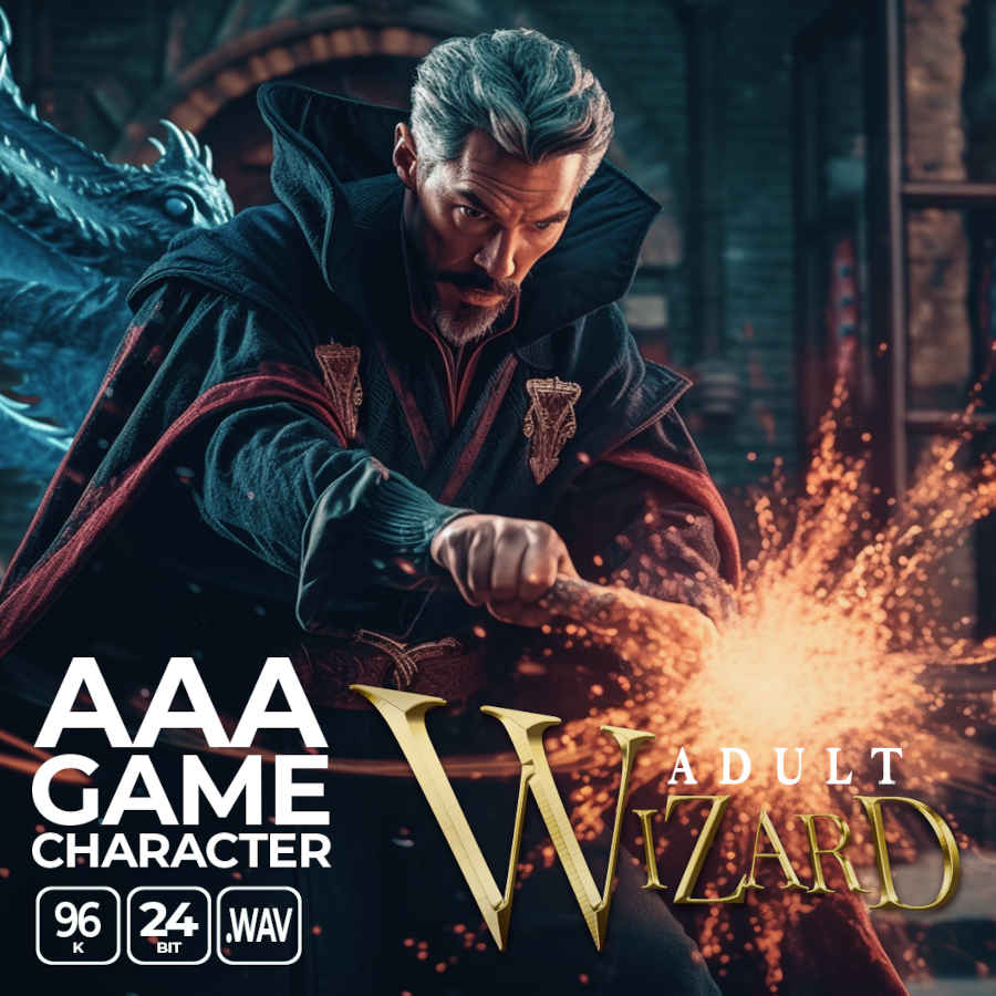 aaa game character adult wizard