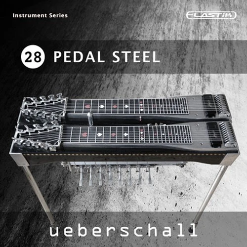 pedal steel