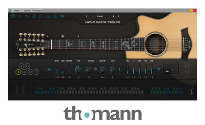ample guitar twelve iii