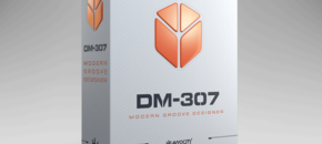 dm-307