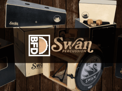 Expansion Swan Percussion