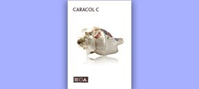 k7c80eep5mmjzo2eh4llewl4z7bd