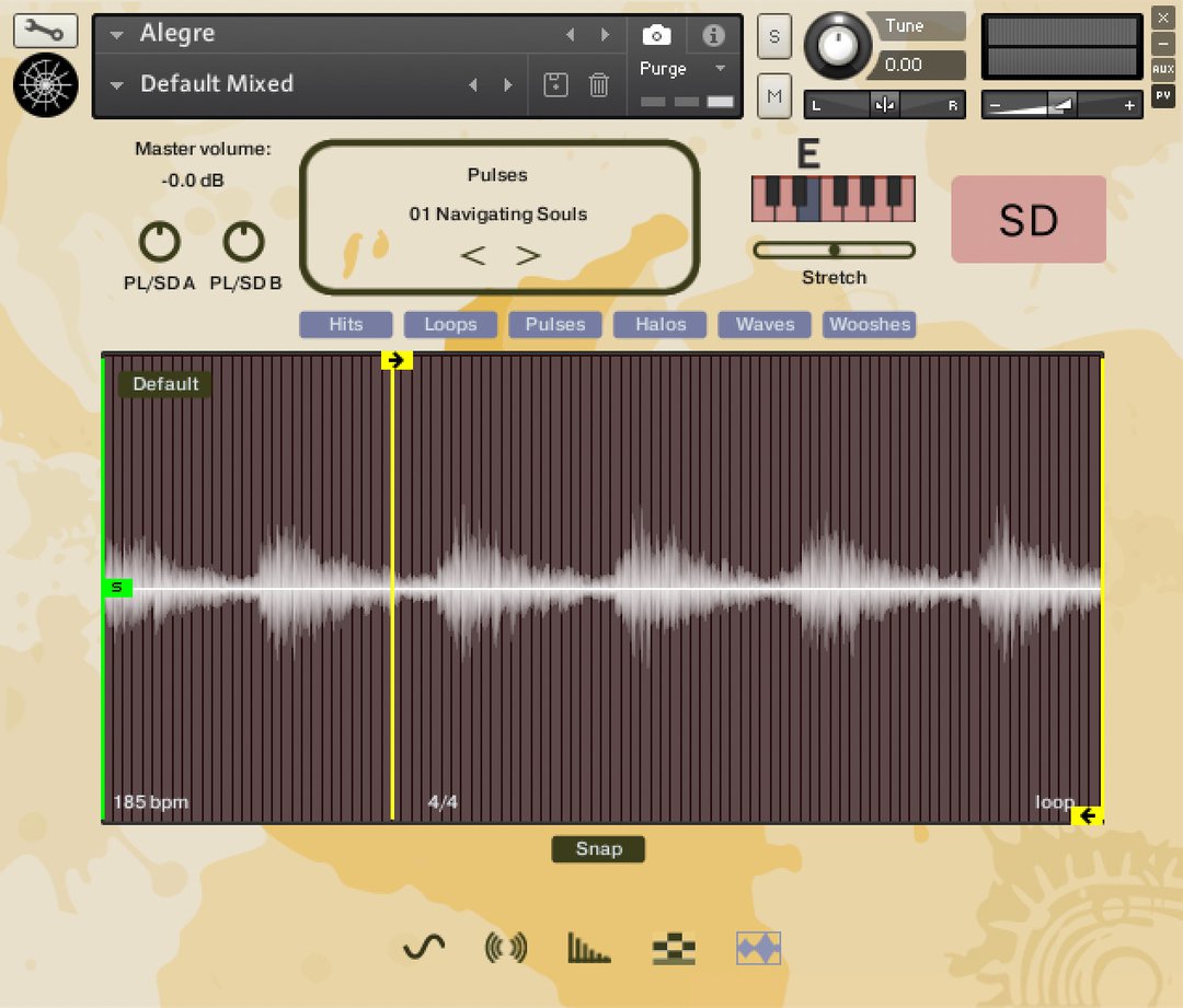 alegre_ui_loopeditorsd
