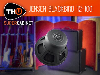 jensen_blackbird_12-100