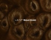 8uwacidiuyif74ho4ub5c4c61g2g